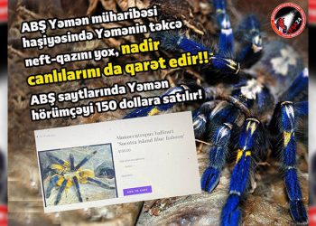 ABŞ Yəməni belə qarət edir!