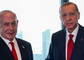 Türkiyəli jurnalist: Ərdoğan sözdə Fələstini, həqiqətdə isə İsraili dəstəkləyir