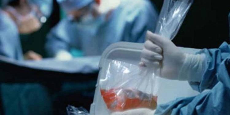 “İsrail”-də fələstinli şəhidlərin cəsədlərindən ən böyük orqan bankının yaradılması