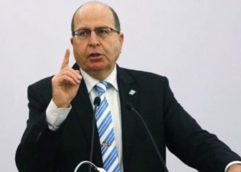 Qolanın sionist rejimin uşaqları qətlə yetirməsi ilə bağlı açıqlamalarının təsdiqlənməsi