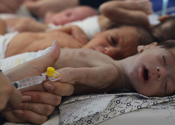 Britaniya vətəndaşı: BBC yalan danışır