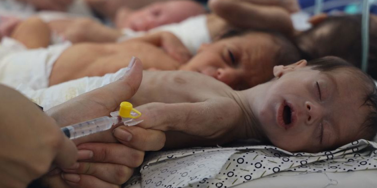 Britaniya vətəndaşı: BBC yalan danışır