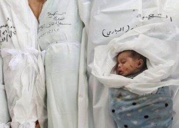 Qəzzəyə yardım adı altında cinayət… 130 fələstinlinin şəhid olmasına cavabdeh olan Amerika qurumu