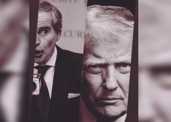 Tramp, Qrossi və Almaniya kanslerinin cəngəllik qanunlarına sadiqliyi